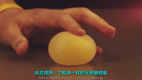 醋酸浸泡鸡蛋壳变透明是什么原理,透明鸡蛋透光率高吗